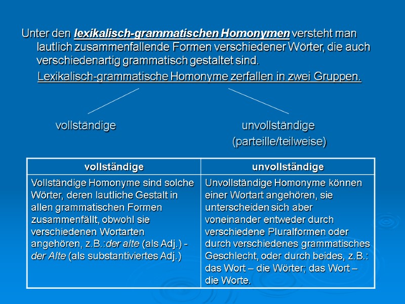 Unter den lexikalisch-grammatischen Homonymen versteht man lautlich zusammenfallende Formen verschiedener Wörter, die auch verschiedenartig